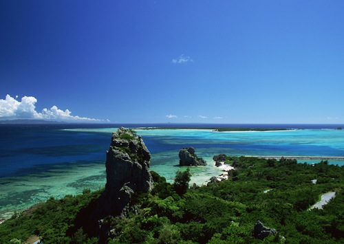 自然の風景